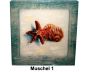 Bild mit Muschel