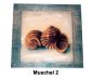 Bild mit Muschel