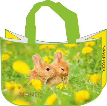 MONDY BAGS 
