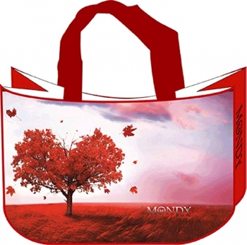 MONDY BAGS 