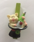 Glücksbringer-Schwein auf Klammer  -F2135-