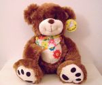 teddy